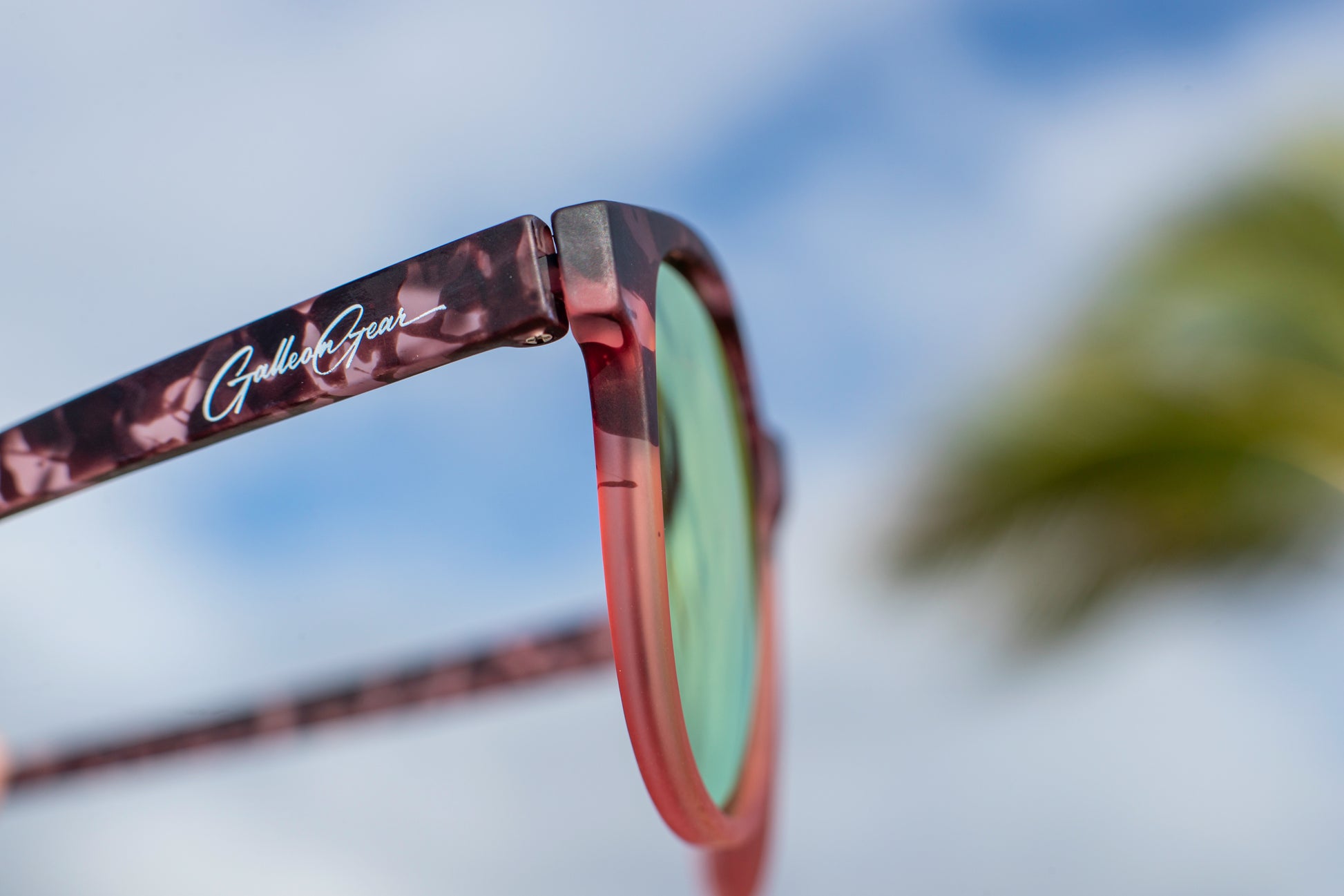 Sunglasses with a blush pink tortoiseshell frame against a blurred sky and palm tree background