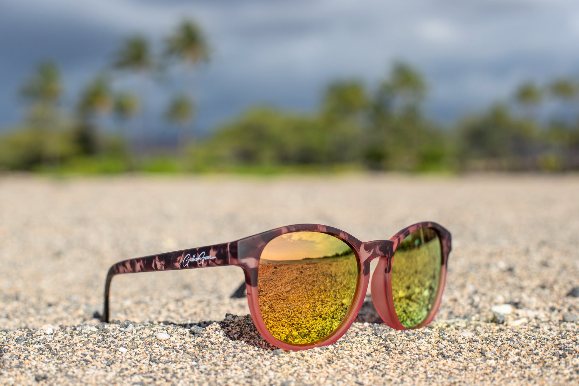 A somewhat transparent blush pink sunglasses with black tortoise details and lenses reflecting rose gold and golden tones on a sandy beach with blurred palm trees and sky in the background.